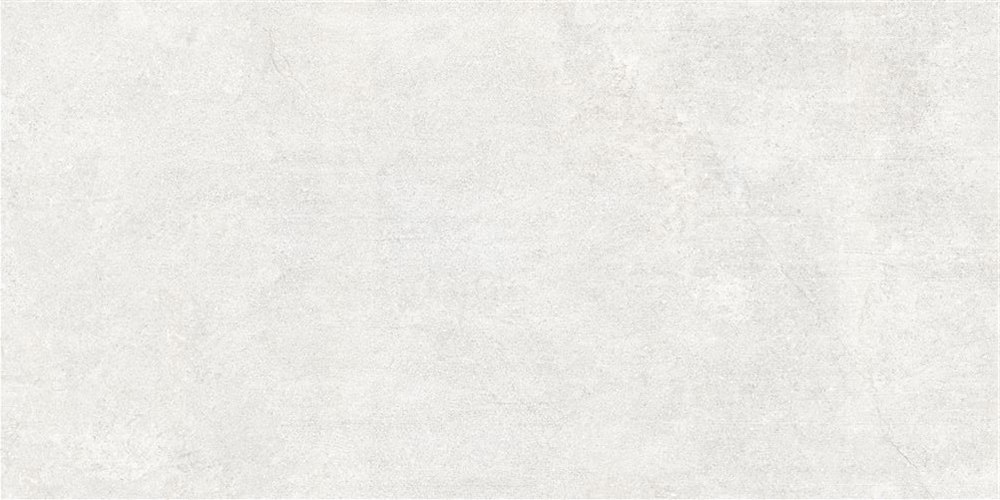 60x120 Newcon Белый Матовый R10A