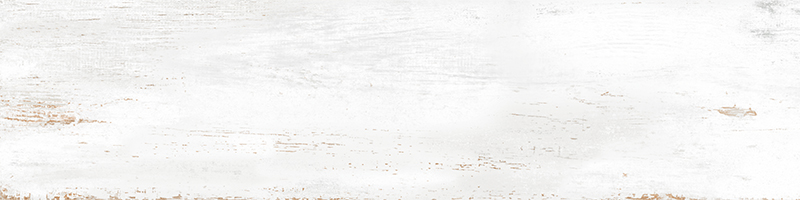 20x80 RusticWood Белый Матовый R10A