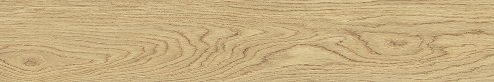 20x120 ВивидВуд Дуб Матовый R10A