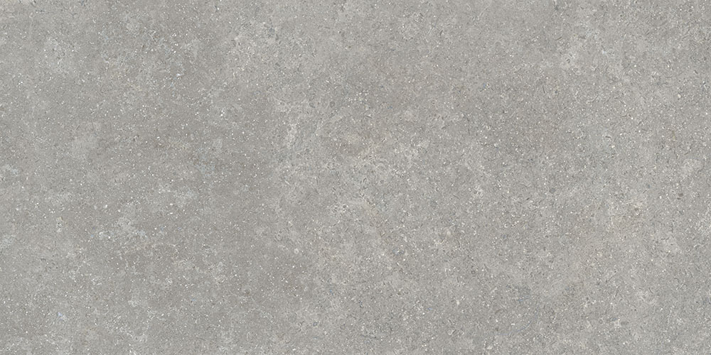 60х120 SandStone Серый Матовый R10A Ректификат