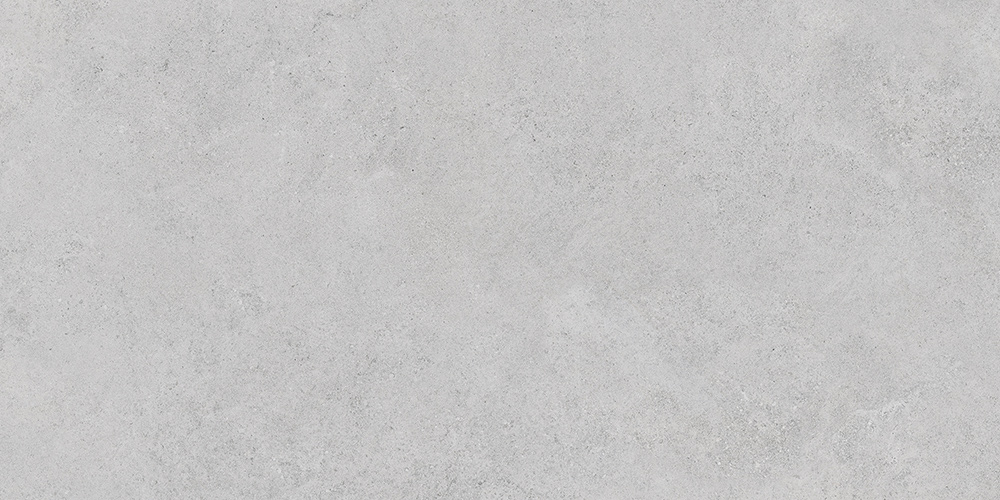 60x120 СтоунСистем Боргония Клауд Серый Матовый R10A