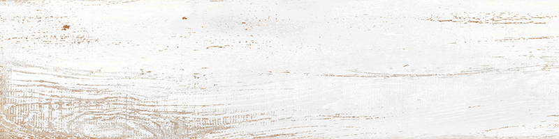 20x80 RusticWood Белый Матовый R10A