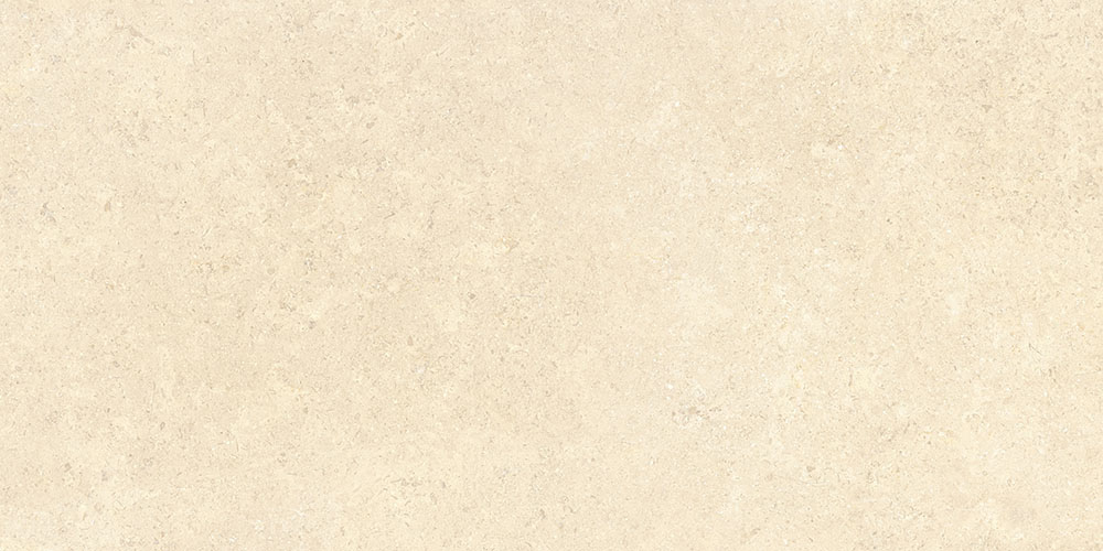 60х120 SandStone Песочный Матовый R10A Ректификат