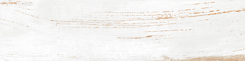 20x80 RusticWood Белый Матовый R10A