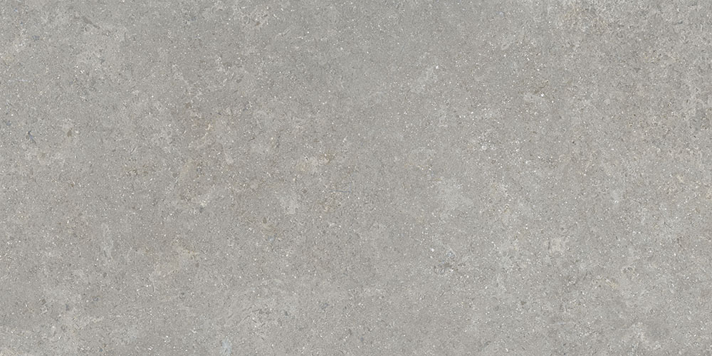 60х120 SandStone Серый Матовый R10A Ректификат