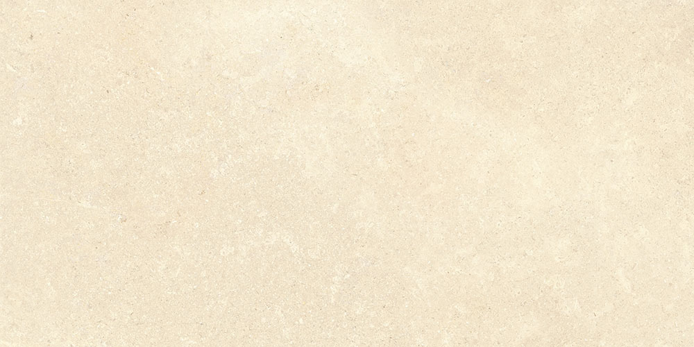 60х120 СэндСтоун Песочный Матовый R10A Ректификат