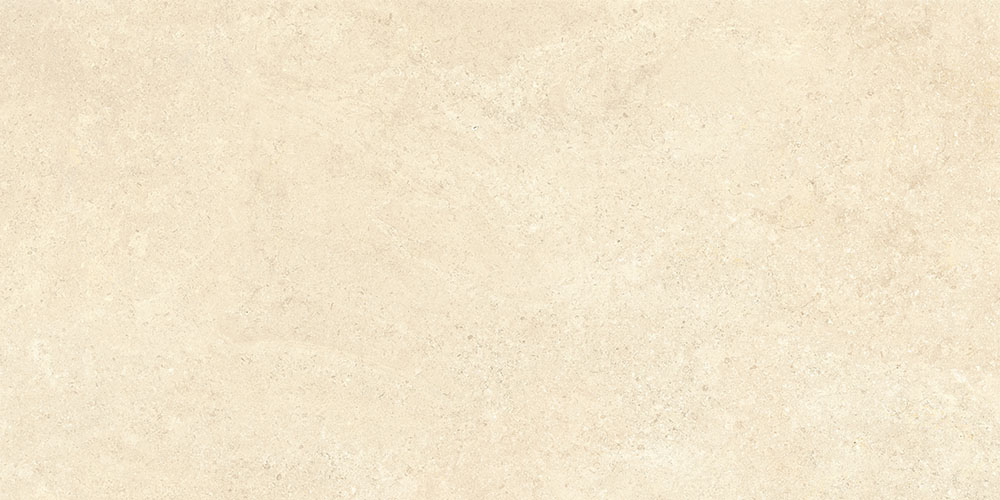 60х120 SandStone Песочный Матовый R10A Ректификат