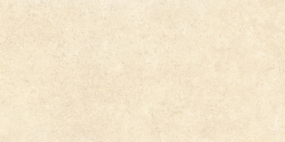 60х120 SandStone Песочный Матовый R10A Ректификат