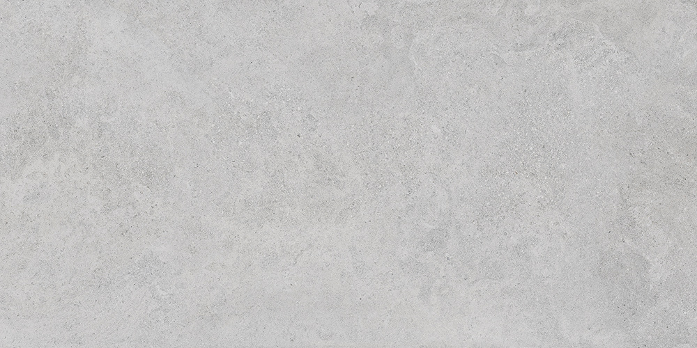 60x120 StoneS Боргония Клауд Серый Матовый R10A