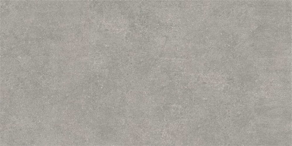 60x120 Newcon Серебристо-серый Матовый R10A