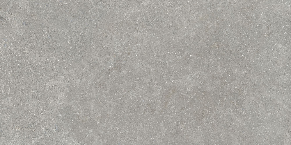 60х120 SandStone Серый Матовый R10A Ректификат