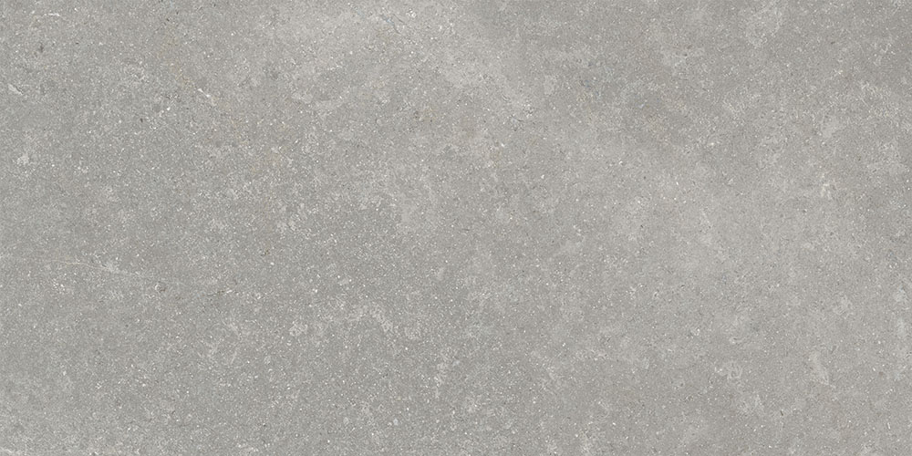 60х120 СэндСтоун Серый Матовый R10A Ректификат