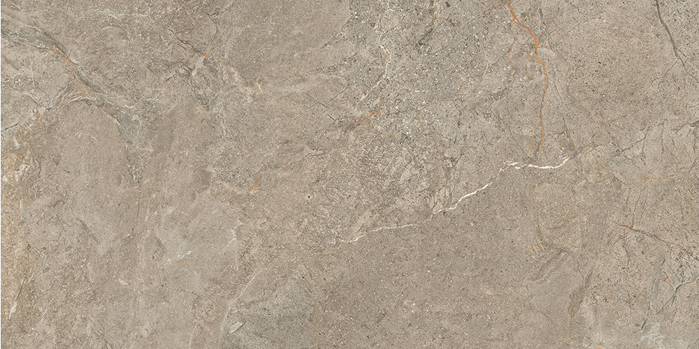 60x120 StoneS Пьетра Рома Табачный Матовый R10A