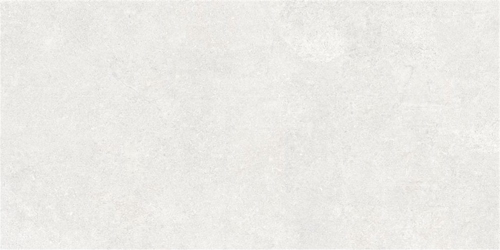 60x120 Newcon Белый Матовый R10A