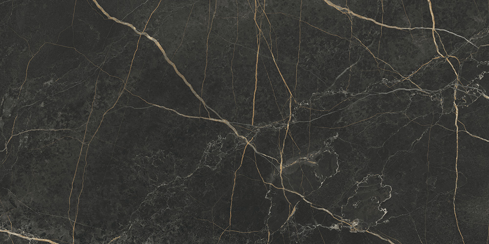 60x120 MarbleS Порт Лорен Лаппато R9