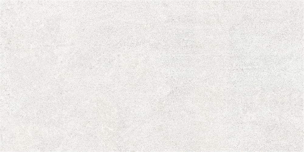 60x120 Newcon Белый Матовый R10A