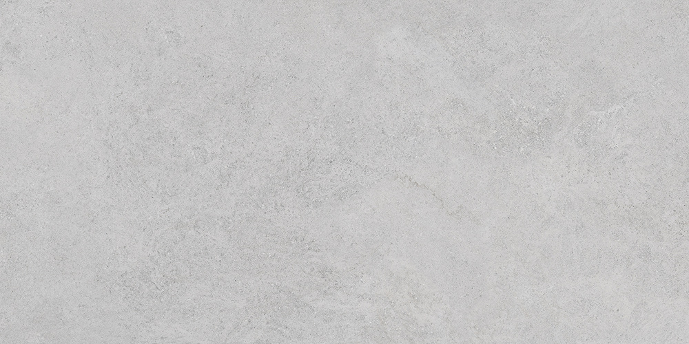 60x120 StoneS Боргония Клауд Серый Матовый R10A