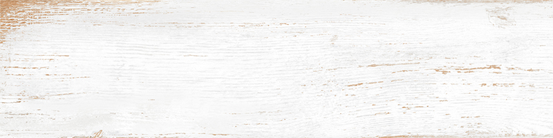 20x80 RusticWood Белый Матовый R10A