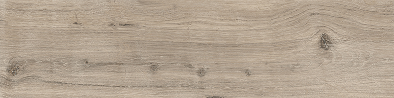 20x80 OriginWood Светлый Греж Матовый R10A